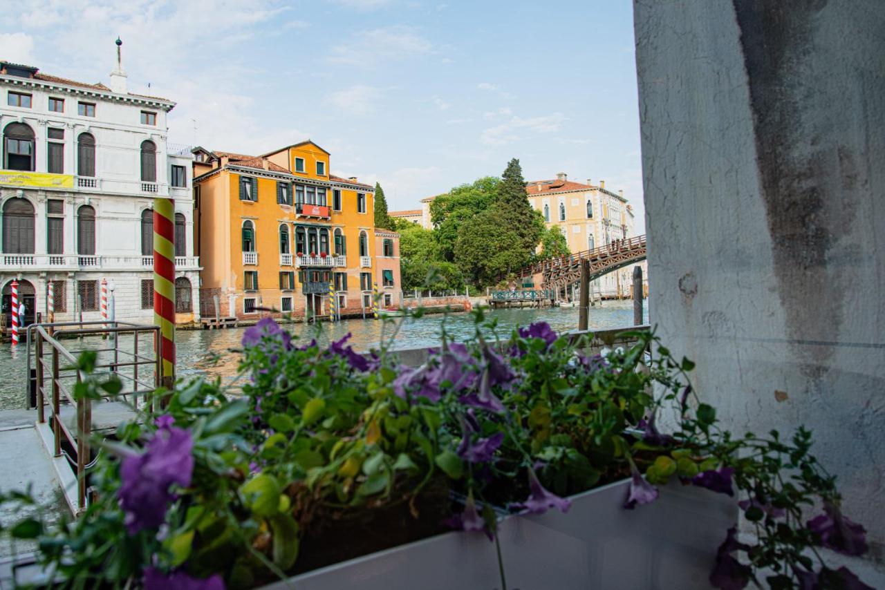 Luxury On The Gran Canal With Wonderful View Венеция Екстериор снимка
