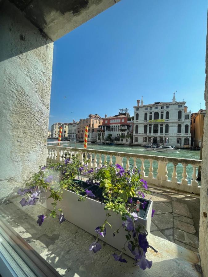 Luxury On The Gran Canal With Wonderful View Венеция Екстериор снимка